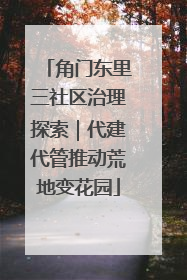 角门东里三社区治理探索｜代建代管推动荒地变花园