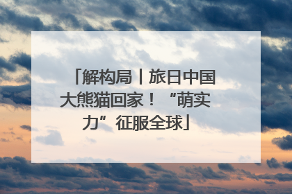 解构局丨旅日中国大熊猫回家！“萌实力”征服全球