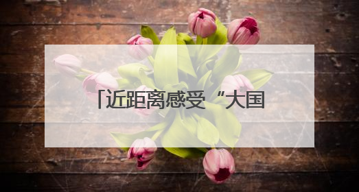 近距离感受“大国重器”，高铁制梁场来了一群小访客