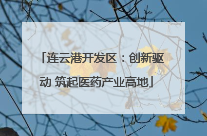连云港开发区：创新驱动 筑起医药产业高地