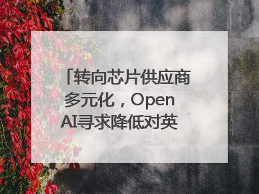 转向芯片供应商多元化，OpenAI寻求降低对英伟达依赖