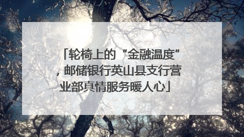 轮椅上的“金融温度”，邮储银行英山县支行营业部真情服务暖人心
