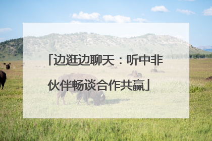 边逛边聊天：听中非伙伴畅谈合作共赢