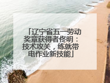 辽宁省五一劳动奖章获得者佟明：技术攻关，练就带电作业新技能