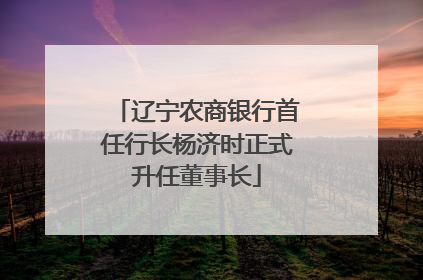 辽宁农商银行首任行长杨济时正式升任董事长