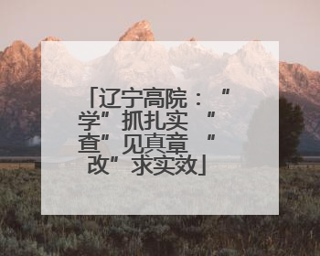辽宁高院：“学”抓扎实 “查”见真章 “改”求实效