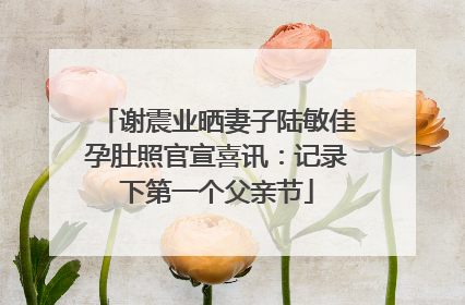 谢震业晒妻子陆敏佳孕肚照官宣喜讯：记录下第一个父亲节