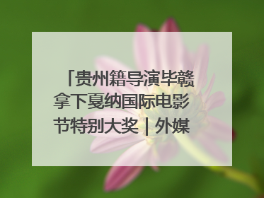 贵州籍导演毕赣拿下戛纳国际电影节特别大奖｜外媒点赞：奇妙而广阔的纯粹电影梦