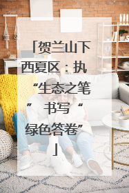 贺兰山下西夏区：执“生态之笔” 书写“绿色答卷”