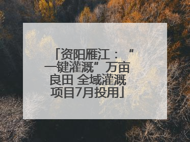资阳雁江：“一键灌溉”万亩良田 全域灌溉项目7月投用