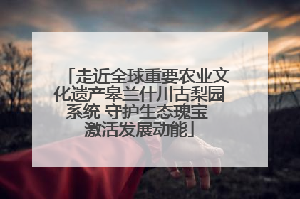 走近全球重要农业文化遗产皋兰什川古梨园系统 守护生态瑰宝 激活发展动能