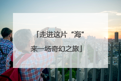 走进这片“海”来一场奇幻之旅