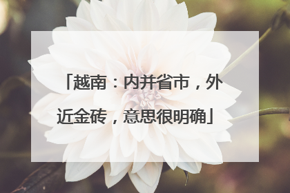 越南：内并省市，外近金砖，意思很明确