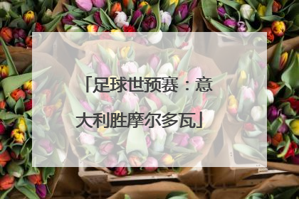 足球世预赛：意大利胜摩尔多瓦