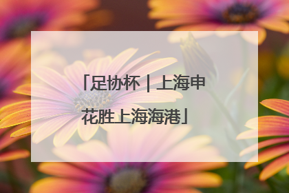 足协杯｜上海申花胜上海海港