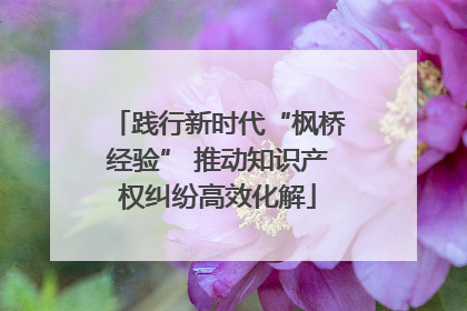 践行新时代“枫桥经验” 推动知识产权纠纷高效化解