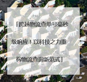 跨越物流查单号毫秒级响应！以科技之力重构物流查询新范式
