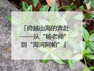 跨越山海的奔赴——从“杨老师”到“海河阿帕”