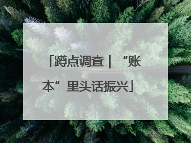 蹲点调查｜“账本”里头话振兴