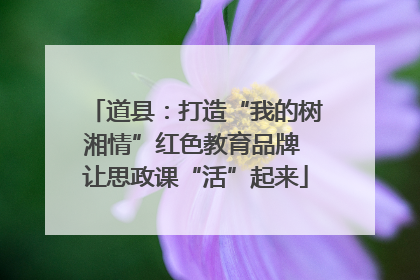 道县：打造“我的树湘情”红色教育品牌 让思政课“活”起来