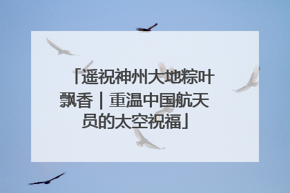 遥祝神州大地粽叶飘香｜重温中国航天员的太空祝福