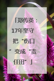 郑传英：17年坚守 把“伤口”变成“责任田”
