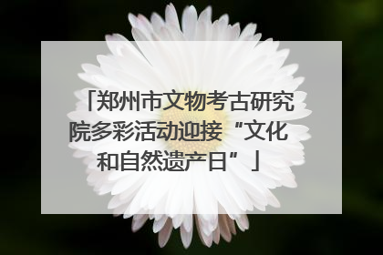 郑州市文物考古研究院多彩活动迎接“文化和自然遗产日”
