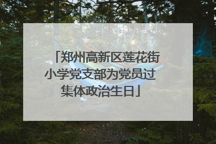 郑州高新区莲花街小学党支部为党员过集体政治生日