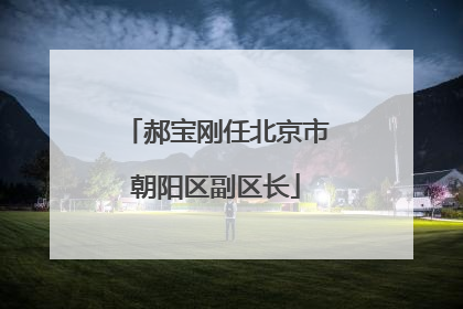 郝宝刚任北京市朝阳区副区长