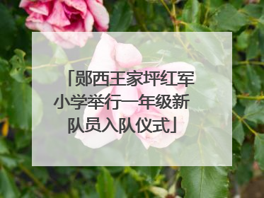 郧西王家坪红军小学举行一年级新队员入队仪式