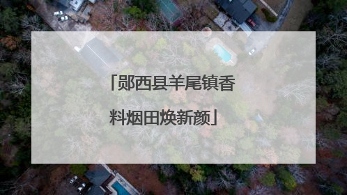 郧西县羊尾镇香料烟田焕新颜