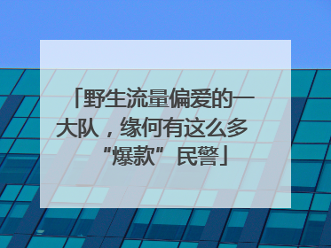 野生流量偏爱的一大队，缘何有这么多“爆款”民警