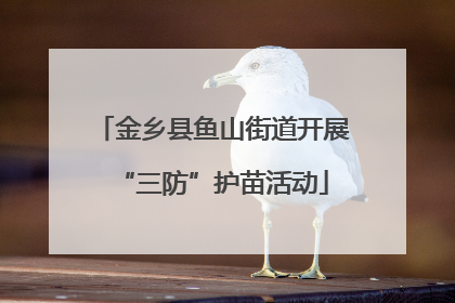 金乡县鱼山街道开展“三防”护苗活动