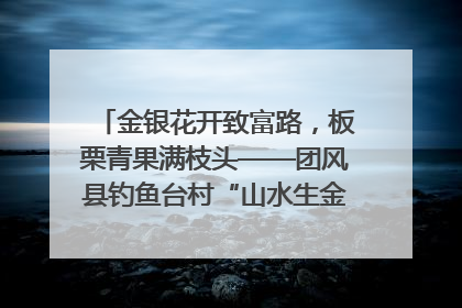 金银花开致富路，板栗青果满枝头——团风县钓鱼台村“山水生金”谱写共富新篇章