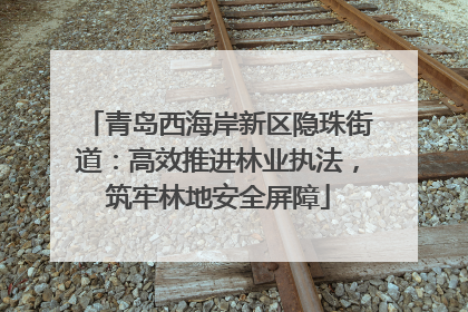 青岛西海岸新区隐珠街道：高效推进林业执法，筑牢林地安全屏障