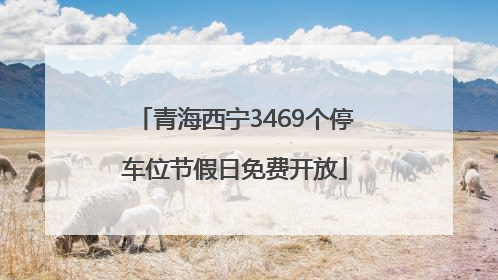 青海西宁3469个停车位节假日免费开放