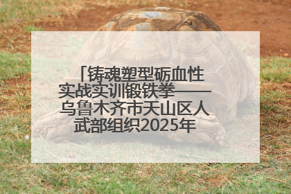铸魂塑型砺血性 实战实训锻铁拳——乌鲁木齐市天山区人武部组织2025年度民兵集中轮训