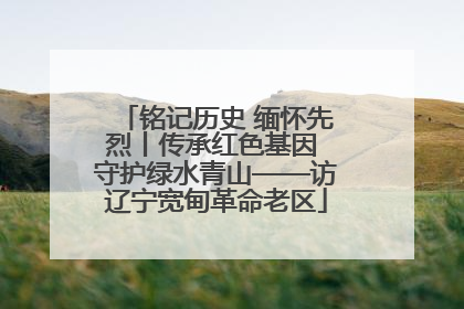铭记历史 缅怀先烈丨传承红色基因 守护绿水青山——访辽宁宽甸革命老区
