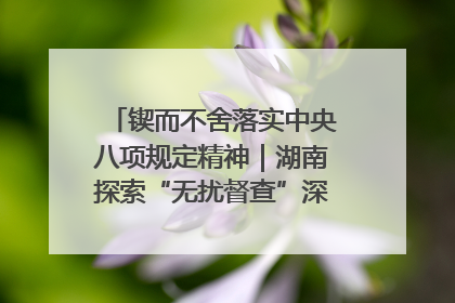 锲而不舍落实中央八项规定精神｜湖南探索“无扰督查”深化基层减负