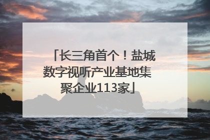长三角首个！盐城数字视听产业基地集聚企业113家