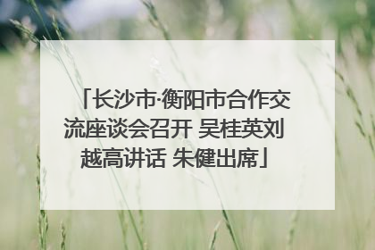 长沙市·衡阳市合作交流座谈会召开 吴桂英刘越高讲话 朱健出席