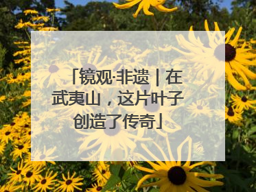 镜观·非遗｜在武夷山，这片叶子创造了传奇