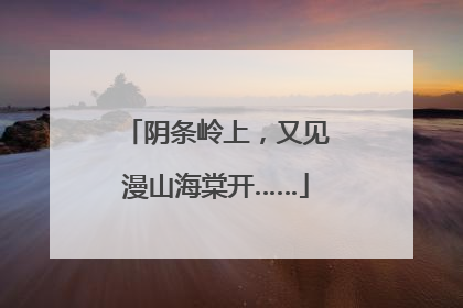 阴条岭上，又见漫山海棠开……