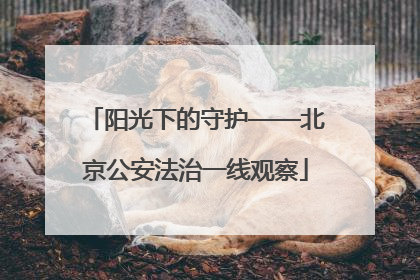 阳光下的守护——北京公安法治一线观察