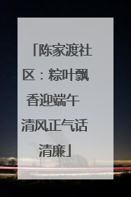 陈家渡社区：粽叶飘香迎端午 清风正气话清廉