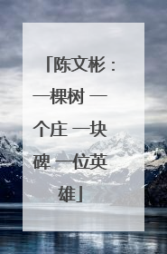 陈文彬：一棵树 一个庄 一块碑 一位英雄