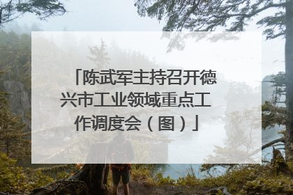 陈武军主持召开德兴市工业领域重点工作调度会（图）
