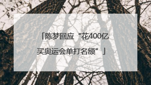 陈梦回应“花400亿买奥运会单打名额”