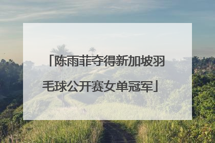 陈雨菲夺得新加坡羽毛球公开赛女单冠军