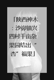 陕西神木：沙峁镇兴四村千亩杂果园结出“杏”福果